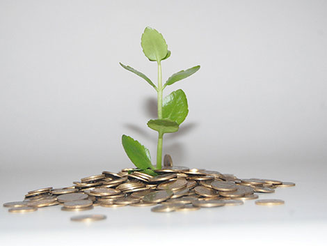 小黑ddos压力测试平台