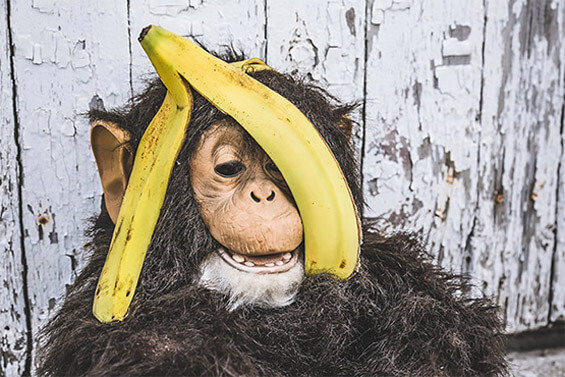 快速检索高效的cc攻击工具